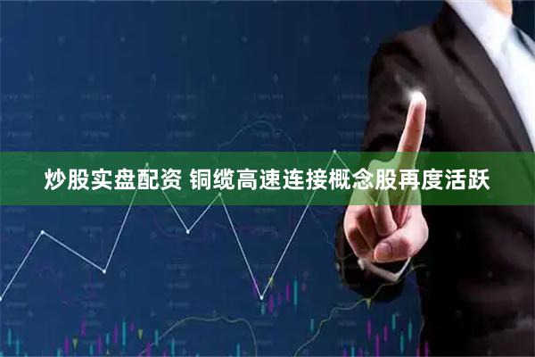 炒股实盘配资 铜缆高速连接概念股再度活跃